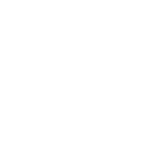 feature-item-4